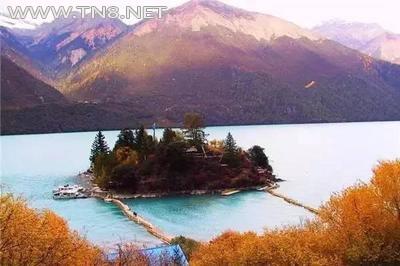 图片4.png 图片4.png