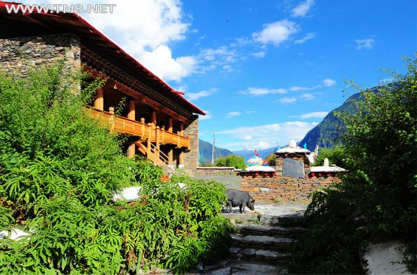 图片5.png 图片5.png