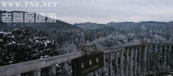 彭水县 · 摩围山

彭水摩围山每到冬季，冰封千里、玉树琼花、晶莹剔透，处处呈现出一片林海雪原的胜景。