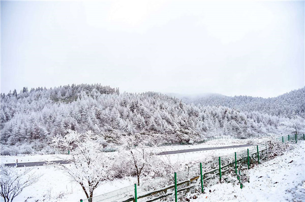 2020元旦重庆仙女山景区可以滑雪吗？